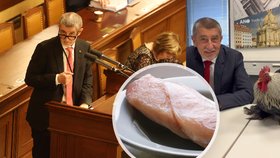 Neshání kompro, ale řízky v kalhotkách: Babiš hájí přítomnost policistů ve firmách. Němcová je zděšená