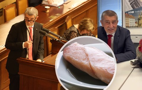 Neshání kompro, ale řízky v kalhotkách: Babiš hájí expolicisty v jeho firmě. Němcová je zděšená