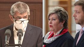 „Jste to nejhorší, co mohl covid potkat.“ Babiš se ve sněmovně hádal s poslankyní Kovářovou