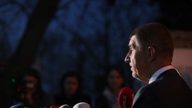 Žádné ultimátům ani stanovený čas pro sestavení nové vlády Andrej Babiš od prezidenta Miloše Zemana nedostal.