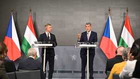 Premiér Andrej Babiš (ANO) a maďarský premiér Péter Magyar (29. října 2026)