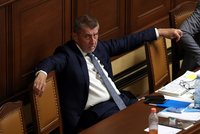 Babiš ve střetu zájmů? Český překlad auditu k dotacím pro Agrofert zamířil k Dostálové