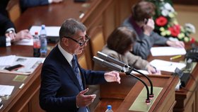 Andrej Babiš a jeho ministři čelili prvnímu hlasování o nedůvěře vládě. V historii České republiky už ale takové hlasování bylo po dvanácté.