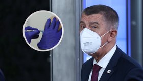 Babiš zvažuje zkrácení doby mezi první a druhou dávkou