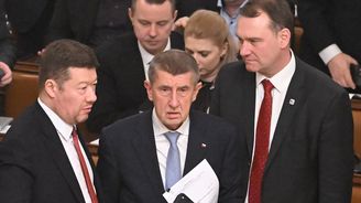 Proč Babiš neovládá partnery ve vládě? Jdou mu na ruku a SPD chce „zrušit“ jeho střet zájmů Proč Babiš neovládá partnery ve vládě? Jdou mu na ruku a SPD chce „zrušit“ jeho střet zájmů