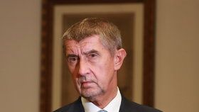 Šéf hnutí ANO Andrej Babiš odmítá kritiku pracovních podmínek v jeho drůbežárně ve Vodňanech.