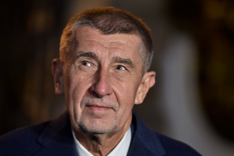 Premiér Andrej Babiš a ředitel agentury Transparency International David Ondráčka u středočeského krajského soudu