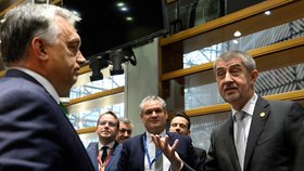 Andrej Babiš diskutuje v Bruselu se svým maďarským protějškem Viktorem Orbánem.