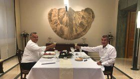 Po společné večeři přijal Orbán pozvání Andreje Babiše do České republiky
