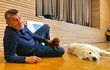 Český premiér Andrej Babiš (ANO) si pořídil nového psa. Na twitteru se pochlubil fotografií z průhonické Sokolovny, na které pózuje se štěnětem červeného toy pudla jménem Gigi.