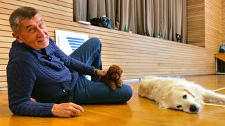 Andrej Babiš a jeho nový pes Gigi. Jedno oko nezůstane suché, zatímco naše země spěje do blázince