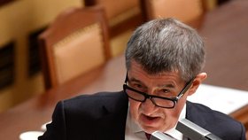 Andrej Babiš v Poslanecké sněmovně opět odmítl, že by byl v minulosti agentem StB