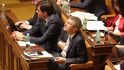 Andrej Babiš požádal Poslaneckou sněmovnu o zbavení imunity a vydání k trestnímu stíhání kvůli farmě Čapí hnízdo