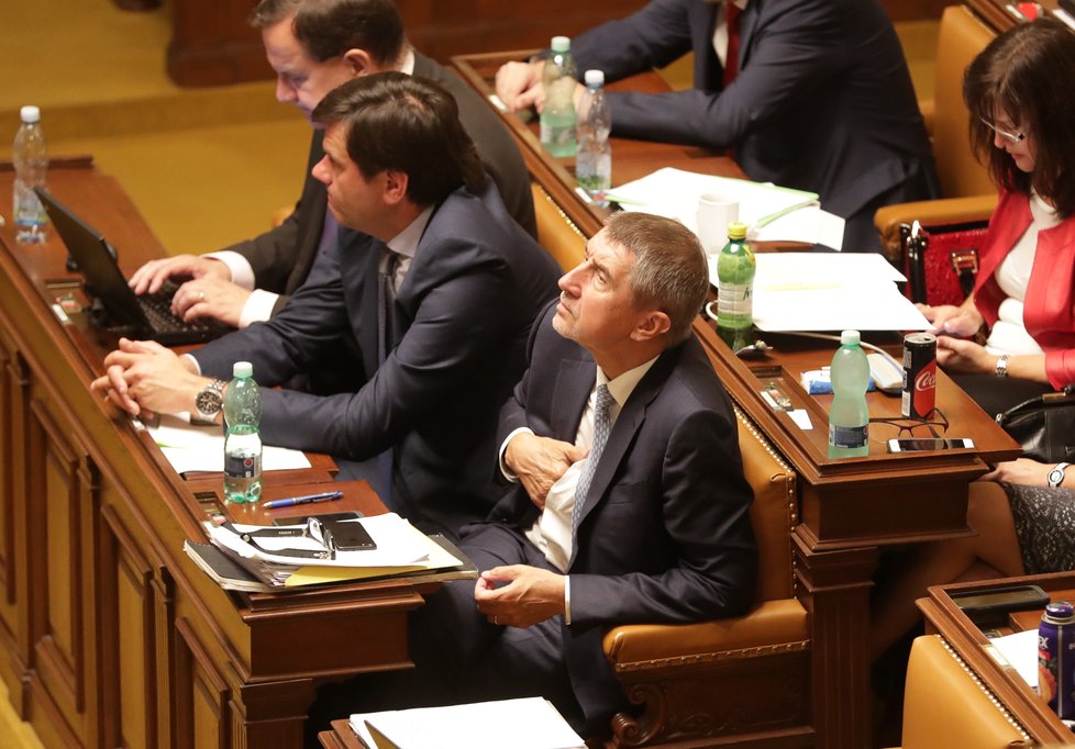 Andrej Babiš požádal Poslaneckou sněmovnu o zbavení imunity a vydání k trestnímu stíhání kvůli Farmě Čapí hnízdo.