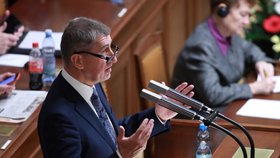 "Nikdy neodstoupím!" Zopakoval v Poslanecké sněmovně premiér Andrej Babiš na schůzi, při které chtějí poslanci hlasovat o nedůvěře vládě (23. 11. 2018)