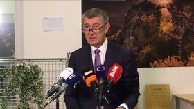 Premiér Andrej Babiš (ANO) před odletem do Izraele (22. 1. 2020)