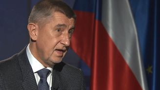 Je možné, že vláda letos projde rekonstrukcí, prohlásil Babiš. ČSSD je proti 