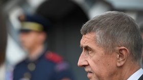 Premiér Andrej Babiš hovoří s novináři po setkání s prezidentem Milošem Zemanem, který jej přijal 20. května 2019 v Lánech.