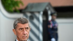 Premiér Andrej Babiš hovoří s novináři po setkání s prezidentem Milošem Zemanem, který jej přijal 20. května 2019 v Lánech.