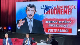 Andrej Babiš v Ústí