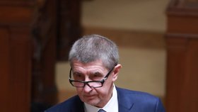 Premiér Andrej Babiš