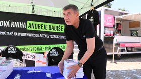 Premiér Andrej Babiš (ANO) a jeho kampaň v Průhonicích, které se postavily do cesty kříže na dlažbě (7. 8. 2021)