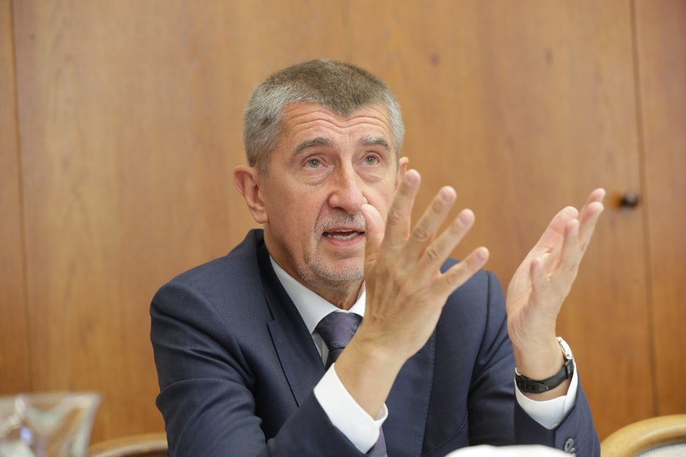 Předseda hnutí ANO Andrej Babiš