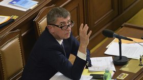 Ministr financí Andrej Babiš (ANO) návrh svého rozpočtu podpořil.