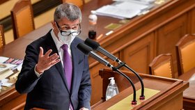 Premiér Andrej Babiš vyzval ve Sněmovně většinu poslanců, aby při závěrečném hlasování o rozpočtu opustili jednací sál a umožnili tak vláda rozpočet na příští rok schválit