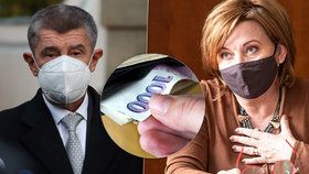 Babiš navrhne snížení daně z příjmu na 15 procent, řekla Schillerová.