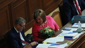 Premiér Andrej Babiš (ANO) a ministryně financí Alena Schillerová v Poslanecké Sněmovně (10.9.2019)