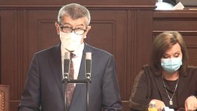 Premiér Andrej Babiš (ANO) ve Sněmovně, za ním ministryně financí Alena Schillerová (za ANO; 7. 4. 2020)