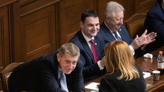 Škrty v obraně a miliardový dluh. První rozpočet Babišovy vlády prošel Sněmovnou Škrty v obraně a miliardový dluh. První rozpočet Babišovy vlády prošel Sněmovnou