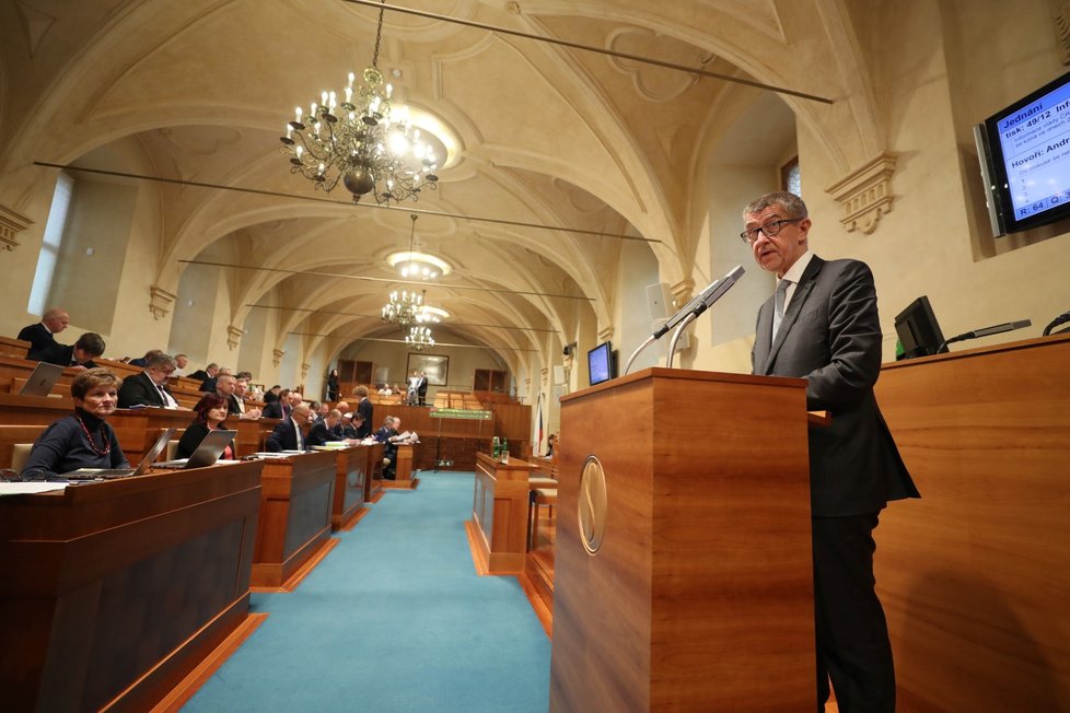 Premiér Andrej Babiš v Senátu