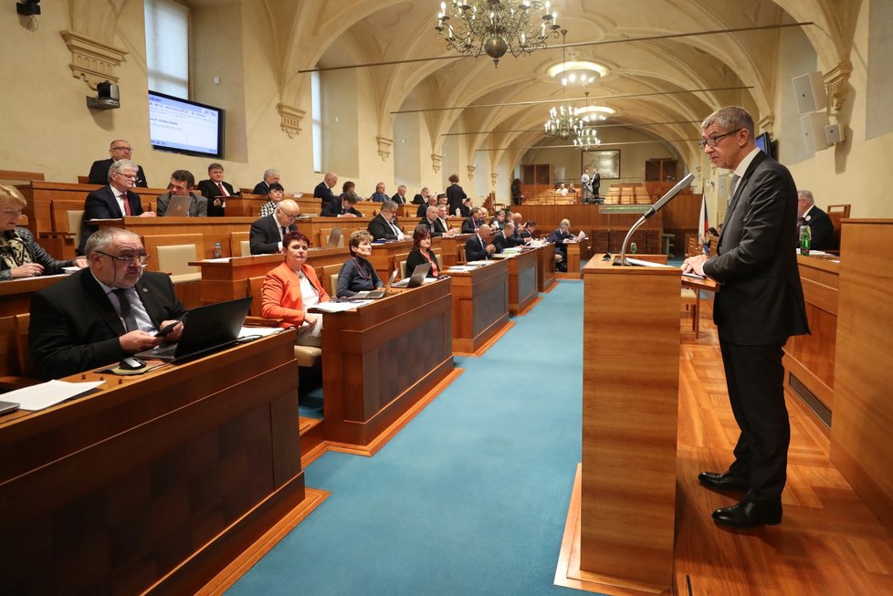 Premiér Andrej Babiš v Senátu přestavoval mandát pro jednání Evropské rady, které bude především o brexitu