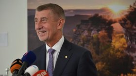 Premiér Andrej Babiš před odletem na Slovensko.