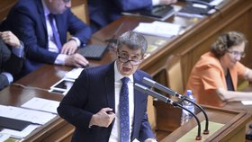 Andrej Babiš vysvětloval poslancům kauzu Čapí hnízdo už jednou na mimořádné schůzi.