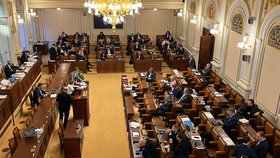 Poslanec Andrej Babiš (ANO) se den před předsednictvem ukázal ve Sněmovně