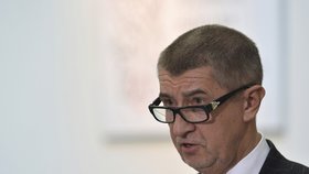 Vicepremiér Andrej Babiš (ANO) po schválení novely zákona o střetu zájmů