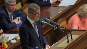 Premiér Andrej Babiš v Poslanecké sněmovně. (4.6.2019)