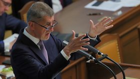 Premiér Andrej Babiš při jednání Poslanecké sněmovny (4. 6. 2019)