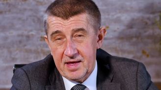 Mezi lišky vstoupil lev. Andrej Babiš se chystá dobýt český stát, píše Denník N