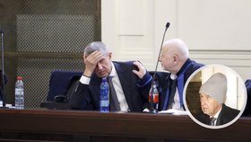 Soud Andreje Babiše kvůli kauze Čapí hnízdo 