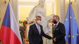 Politika 2022: Česko čekají dvoje volby, prezidentská kampaň a předsednictví EU