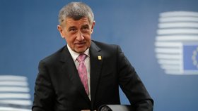 Summit EU o rozpočtu: Premiér Andrej Babiš