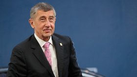 Summit EU o rozpočtu: Premiér Andrej Babiš