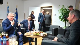 Summit o EU: Premiér Andrej Babiš