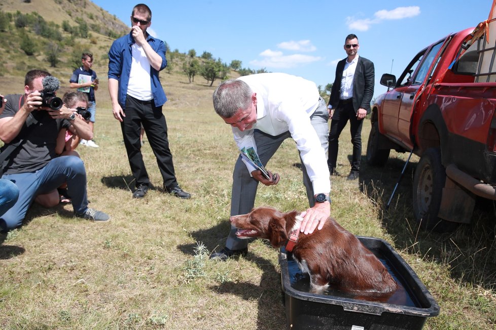Premiér Andrej Babiš se připravuje na vypouštění syslů, které společně s Richardem Brabcem (ANO) házeli zpátky do nor a přírody