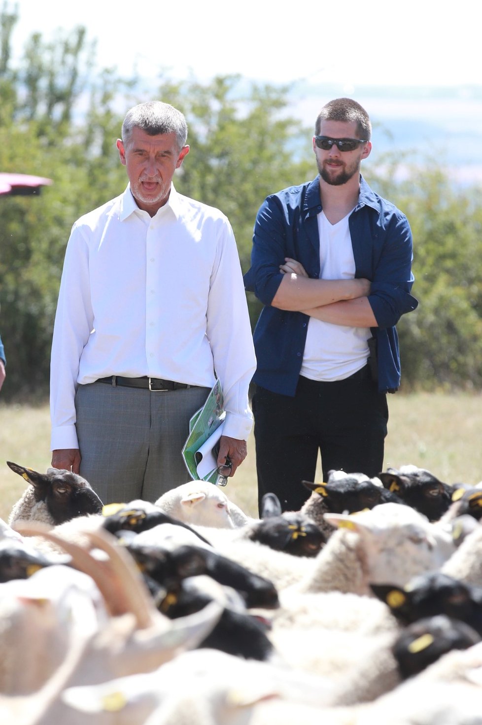 Premiér Andrej Babiš si při akci &#34;Vypouštění syslů&#34; zadíval i na stádo oveček