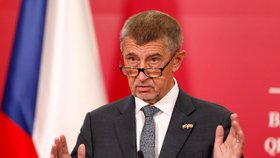 Premiér Andrej Babiš (ANO) na návštěvě Severní Makedonie (11. 6. 2019)